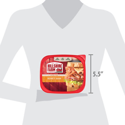 Hillshire Farm Honey Ultra Thin Sliced Ham Lunchmeat - 9 oz - Image 5