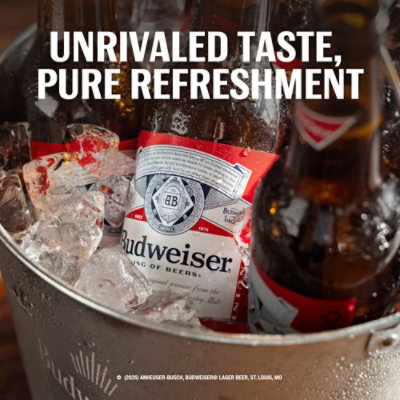 Budweiser Beer In Bottles - 24-12 Fl. Oz. - Image 3