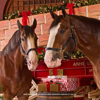 Budweiser American Lager Beer in Cans - 6 - 12 Fl. Oz. - Image 5
