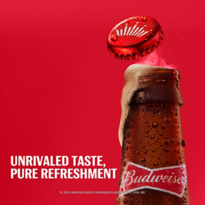 Budweiser American Lager Beer in Bottles - 18 - 12 Fl. Oz. - Image 4