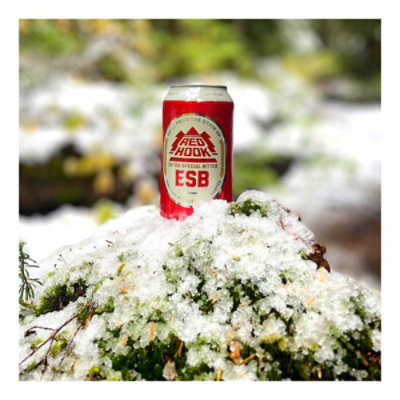 Redhook Ale ESB Beer Bottles - 12-12 Fl. Oz. - Image 3