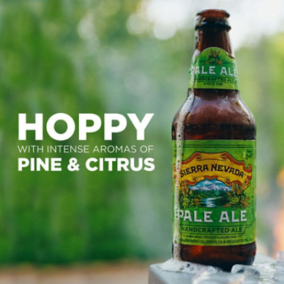 Sierra Nevada Pale Ale Craft Beer In Bottles - 12-12 Oz - Image 3