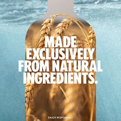 Absolut Vodka Vanilla 80 Proof - 750 Ml - Image 4