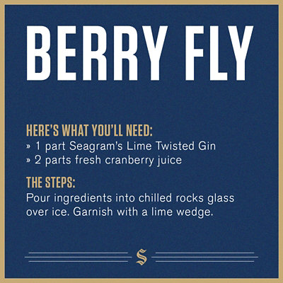 Seagrams Gin Lime Twisted Gin 70 Proof - 750 Ml - Image 4