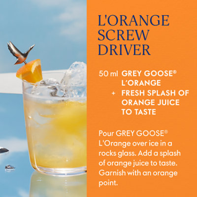 Grey Goose LOrange Flavored Vodka - 750 Ml - Image 3