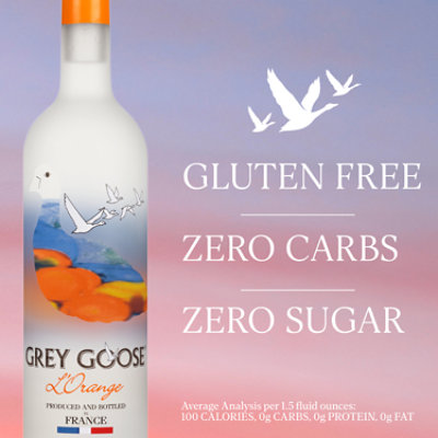 Grey Goose LOrange Flavored Vodka - 750 Ml - Image 5