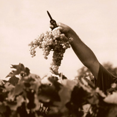 Hennessy Very Special Cognac in Bottle - 375 Ml - Image 4