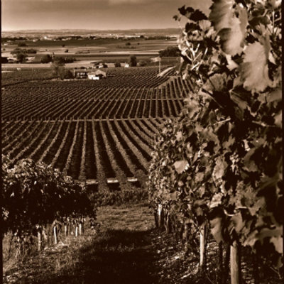 Hennessy Very Special Cognac in Bottle - 375 Ml - Image 5