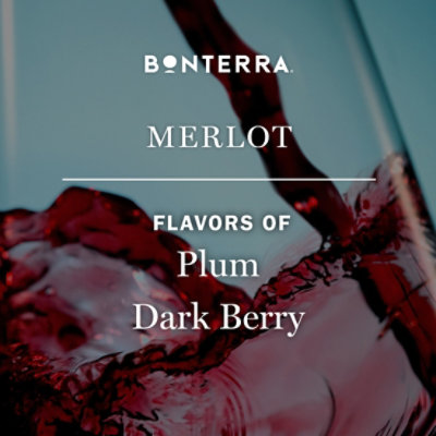 Bonterra Wine Organic Merlot California - 750 Ml - Image 5