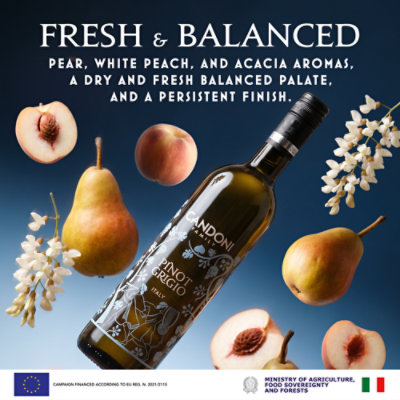 Candoni Pinot Grigio Italy White Wine - 750 Ml - Image 2