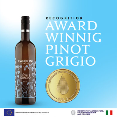 Candoni Pinot Grigio Italy White Wine - 750 Ml - Image 4