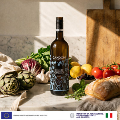 Candoni Pinot Grigio Italy White Wine - 750 Ml - Image 5