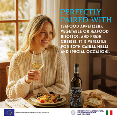 Candoni Pinot Grigio Italy White Wine - 750 Ml - Image 3