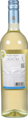 Mezzacorona Wine Pinot Grigio Tolentino - 750 Ml - Image 4