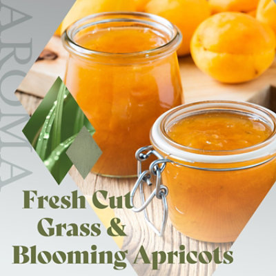 Coppola Diamond Collection Appellation Series Sonoma County Sauvignon Blanc White Wine - 750 Ml - Image 3