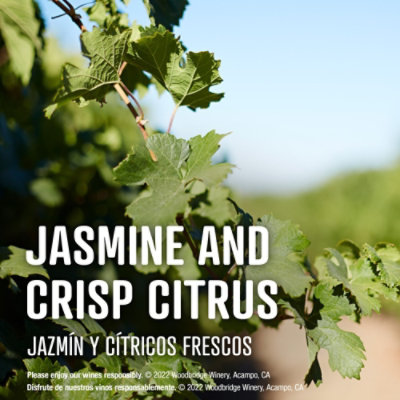 Woodbridge Riesling White Wine - 1.5 Liter - Image 5