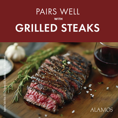 Alamos Malbec Argentina Red Wine - 750 Ml - Image 4