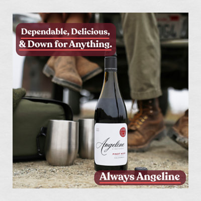 Angeline Pinot Noir Wine - 750 Ml - Image 5