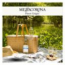 Mezzacorona Wine Pinot Grigio Tolentino - 1.5 Liter - Image 3