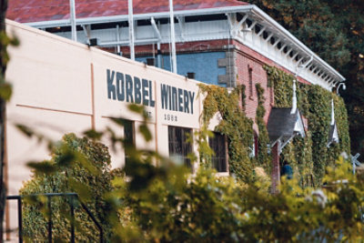 Korbel Blanc de Noirs California Champagne 24 Proof Bottle - 750 Ml - Image 2