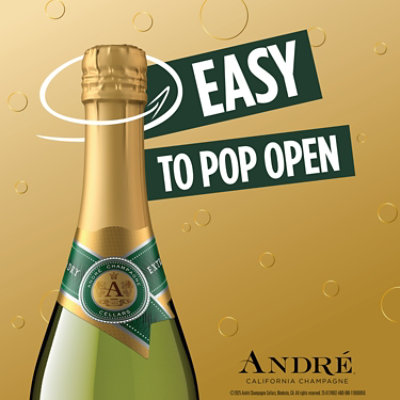 Andre Extra Dry Champagne Sparkling Wine - 750 Ml - Image 6