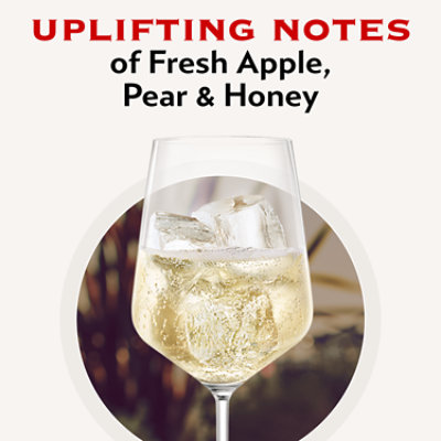 Martini & Rossi Sparkling Wine Prosecco Frizzante - 750 Ml - Image 4