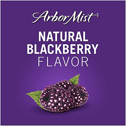 Arbor Mist Blackberry Merlot Red Wine - 1.5 Liter - Image 3