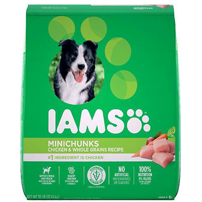 iams dry dog food Albertsons Coupon