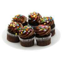 Bakery Cupcake Chocolate Chocolate Iced 6 Count - Each - Image 1