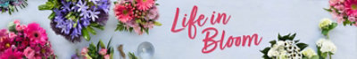 Life in Bloom