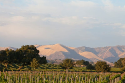 Firestone Vineyard Wine Central Coast Chardonnay - 750 Ml - Image 2