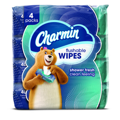 charmin Albertsons Coupon