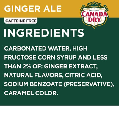 Canada Dry Ginger Ale Soda Glass Bottle - 6-10 Fl. Oz. - Image 3