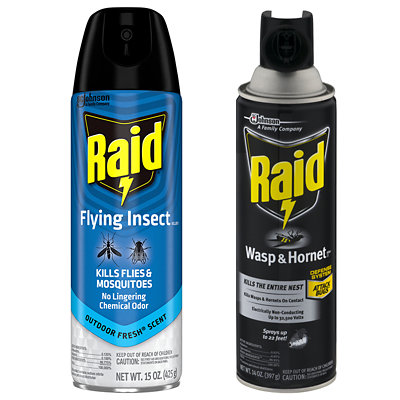 raid insect killer Albertsons Coupon