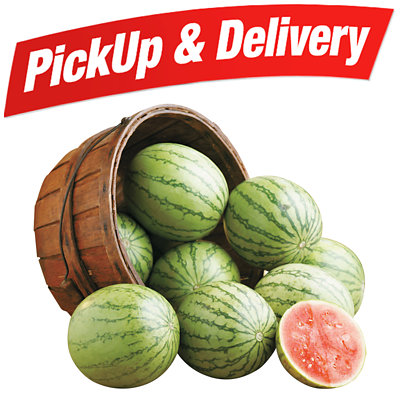 personal watermelon Albertsons Coupon