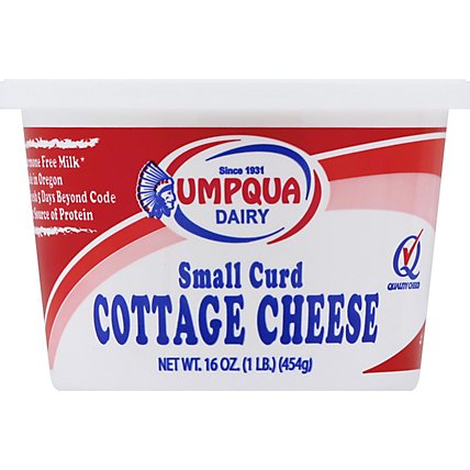 Umpqua Cottage Cheese - 16 Oz - Image 1