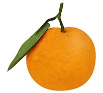 Mandarins Satsuma