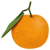 Mandarins Satsuma - Image 1