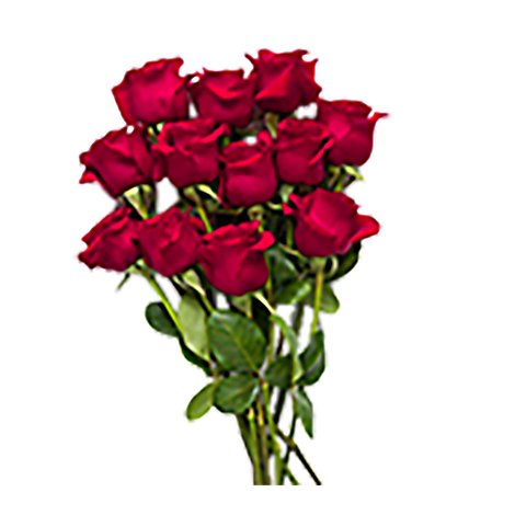Red Roses - 12 Count