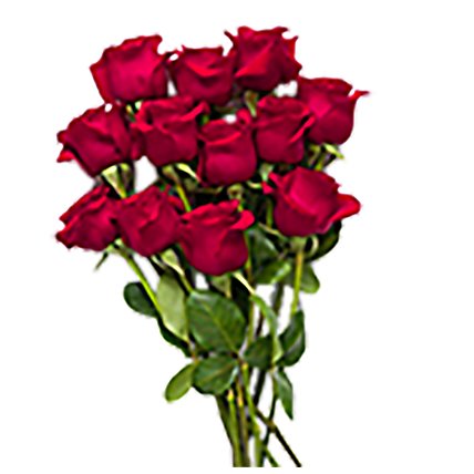 Red Roses - 12 Count - Image 1