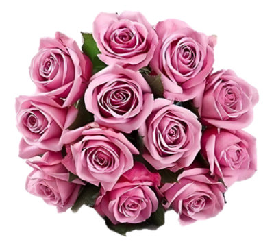 Pink Roses - 12 Count