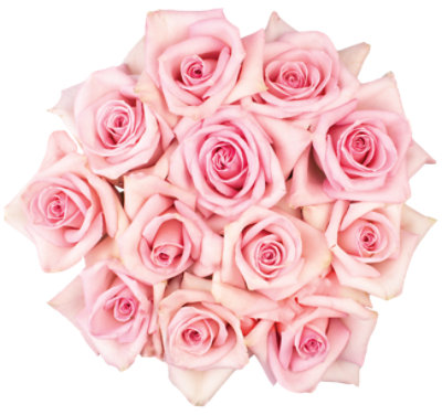 Pink Roses - 12 Count