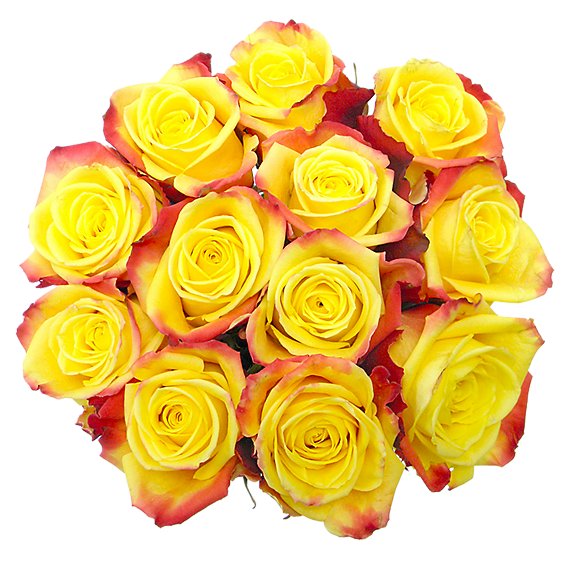 Yellow Roses - 12 Count
