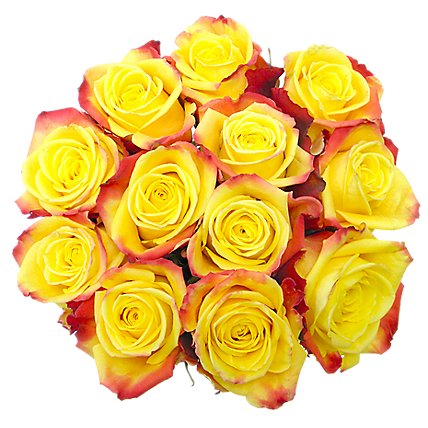 Yellow Roses - 12 Count - Image 1