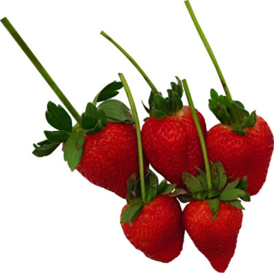 Strawberries Long Stem Prepacked - 1 Lb - Image 2