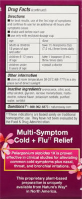 Natures Way Umcka Cold Flu Sugar Free Berry Flavor Syrup - 4 Oz - Image 5