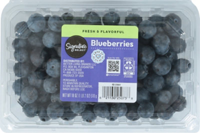 Blueberries Prepacked - 18 Oz