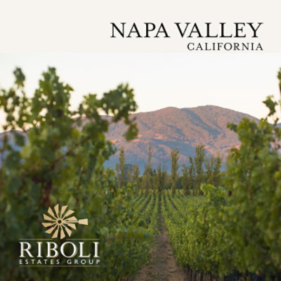 Riboli Family Cabernet Sauvignon Wine - 750 Ml - Image 3