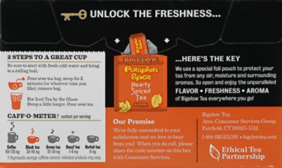 Bigelow Autumn Tea Spiced Pumpkin Spice - 20 Count - Image 2