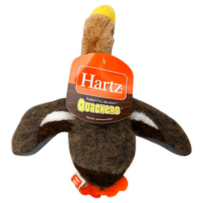 Fun & Educative Toys for Dogs - Hartz
